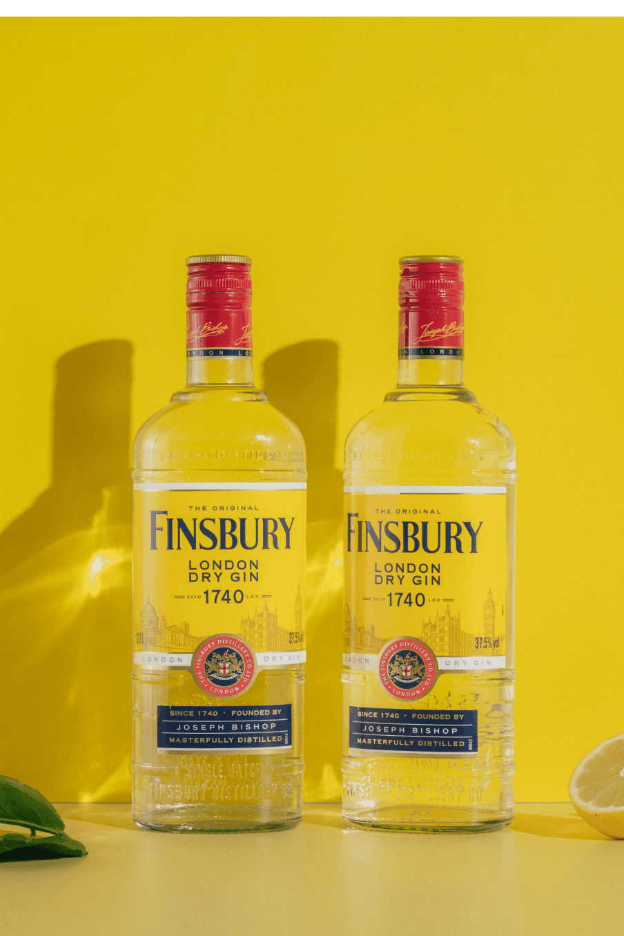 Finsbury London Dry Gin